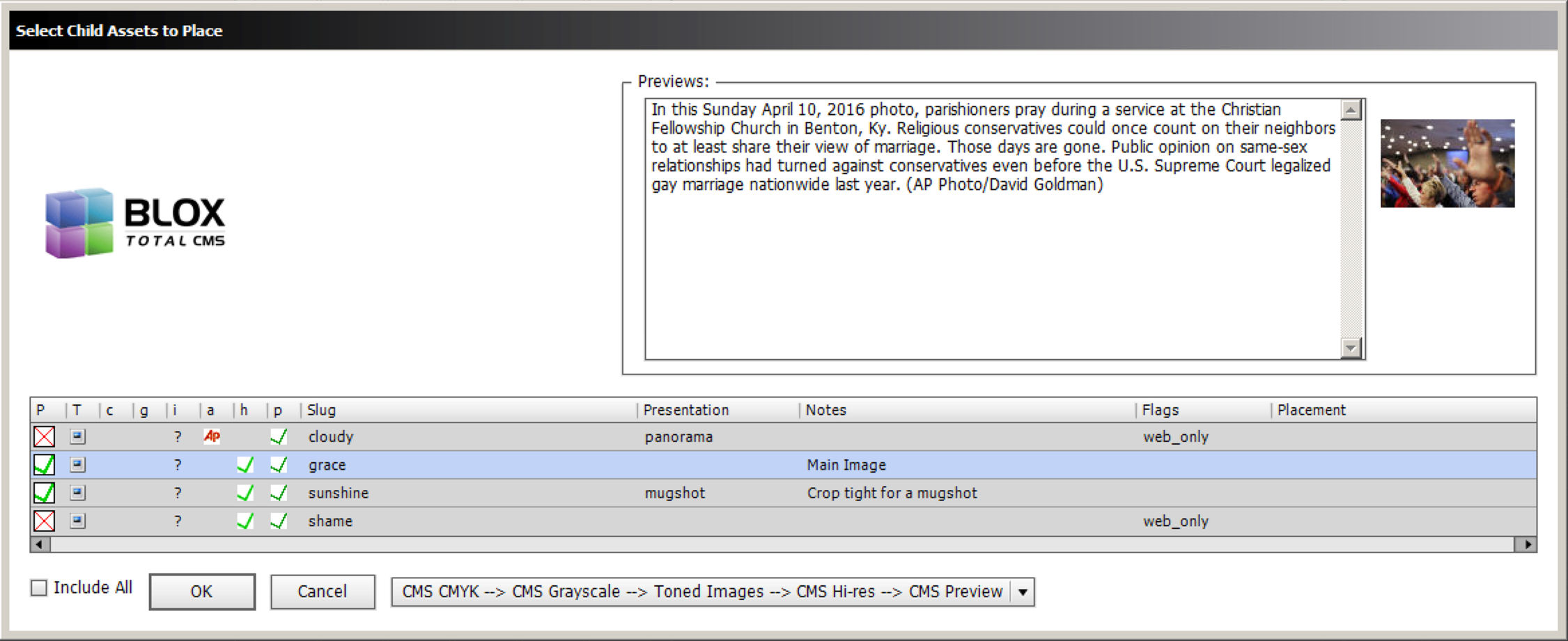"Select Child Assets To Place" dialog box